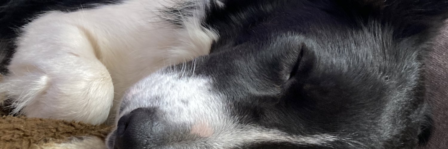 andreapaac's profile banner image