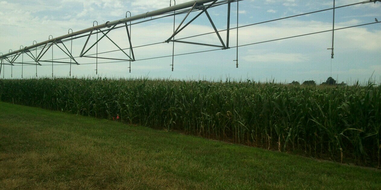 Cristie Preston PhD CCA banner