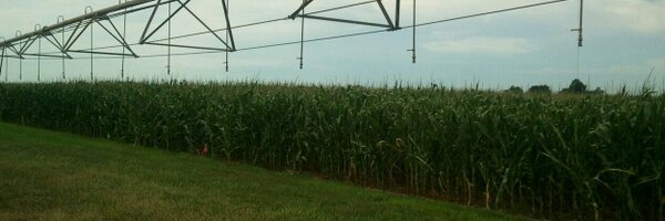 Chelate_This Profile Banner