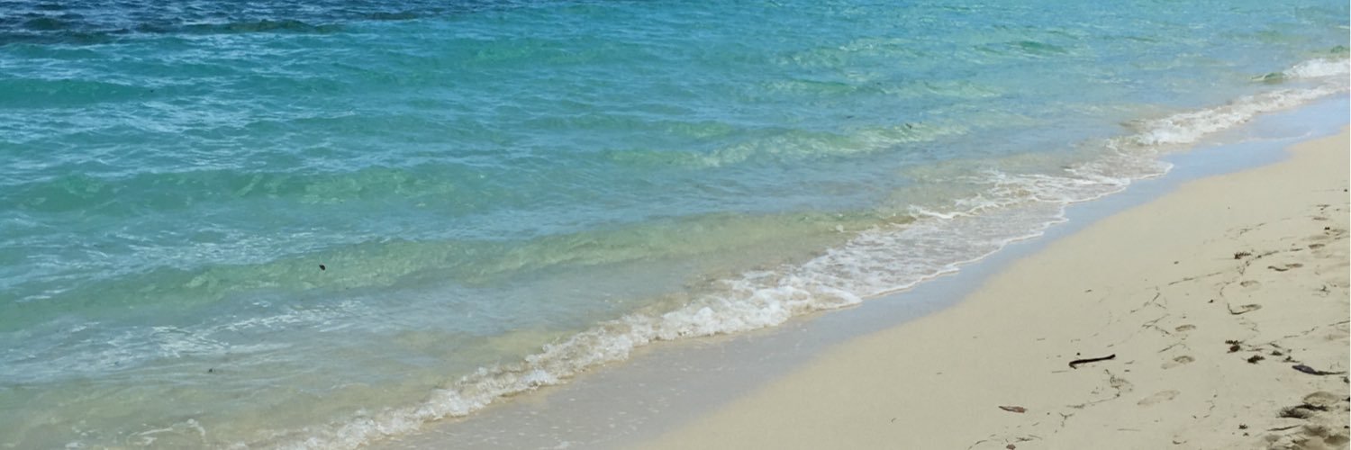 Patrick Lawson banner