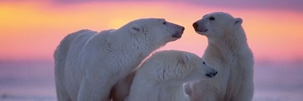 kenay2413's profile banner image