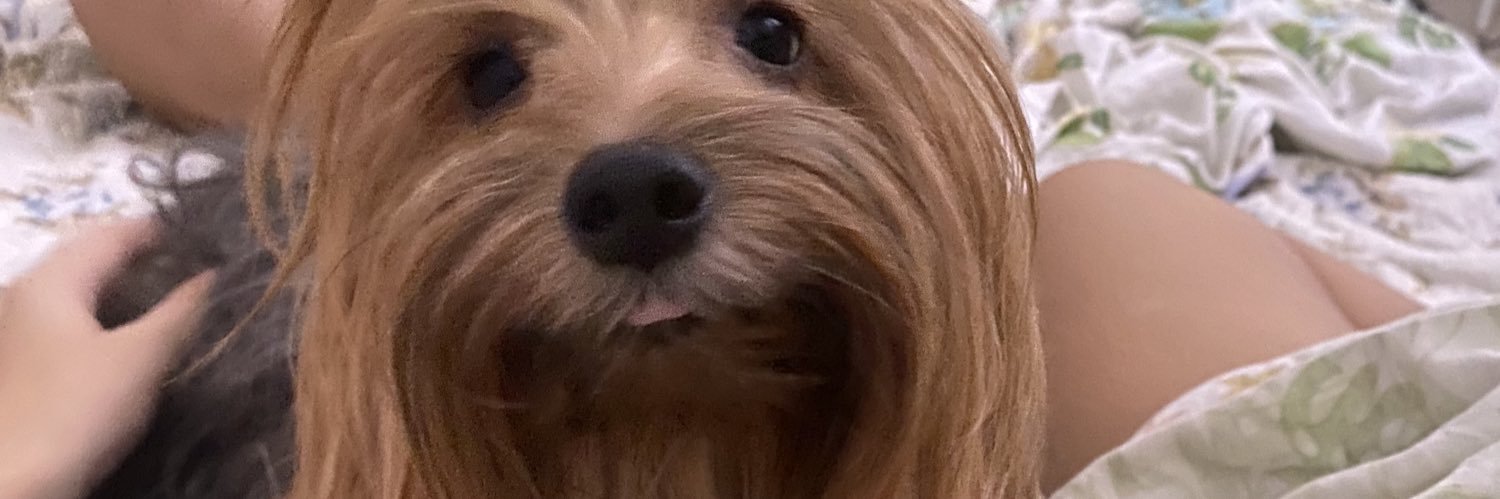 _forteplease's profile banner image