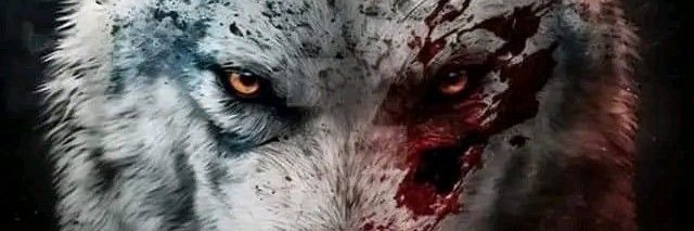 🇹🇷🐺🇹🇷MANİSALI🇹🇷🐺🇹🇷 banner