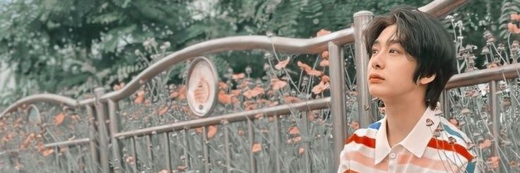 haideesuarez8's profile banner image
