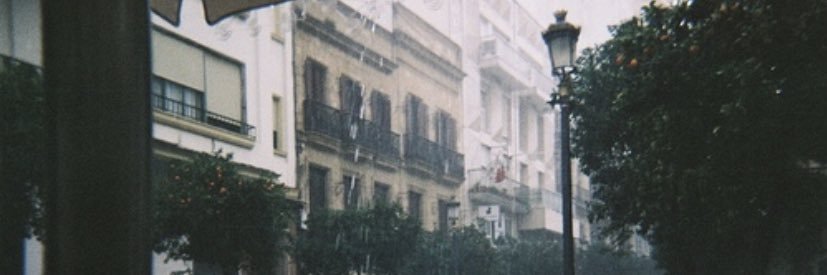 daphne woolsoncroft banner