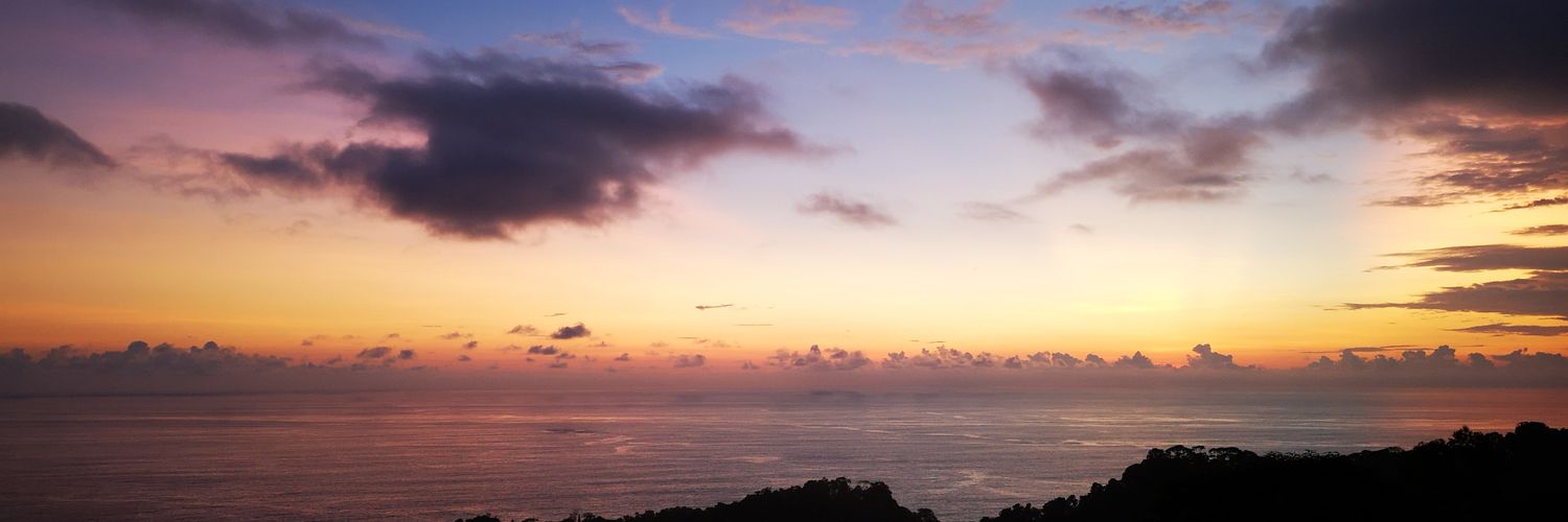 Senaamaee's profile banner image