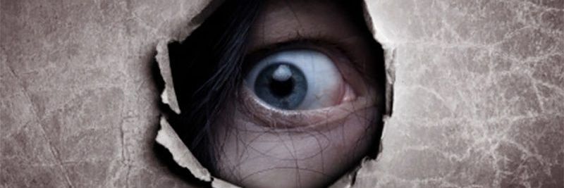 pandadle's profile banner image