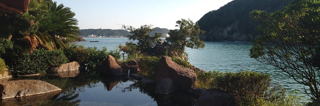 ねこやなぎ banner