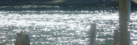 DebiMundani's profile banner image