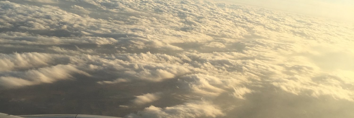 misscarterxo's profile banner image