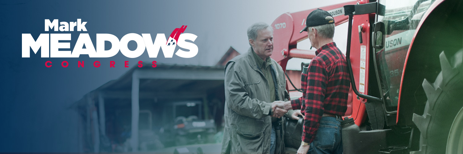 TeamMeadows's profile banner image