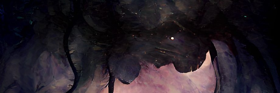 XenonTSS's profile banner image