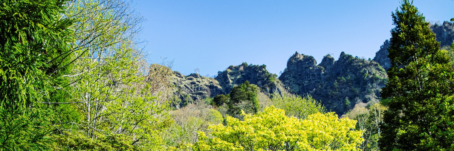 戸隠観光協会 banner