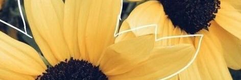 CtRaquel's profile banner image