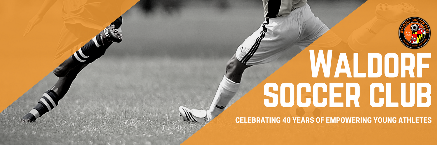 WaldorfSC's profile banner image
