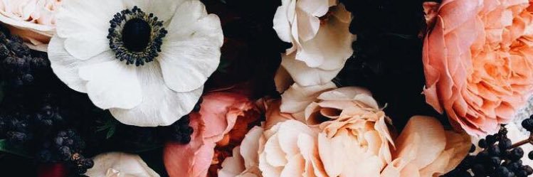 celenaleonn's profile banner image