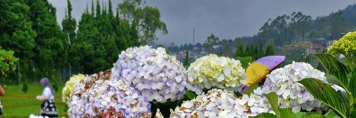 ireeennn___'s profile banner image
