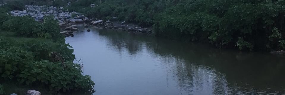 WX 154 banner