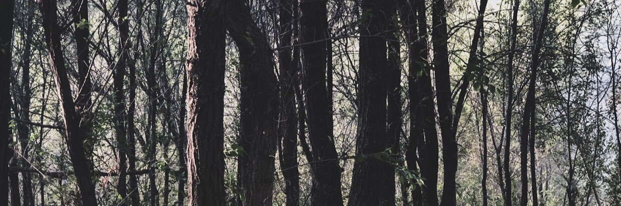 A__xai's profile banner image