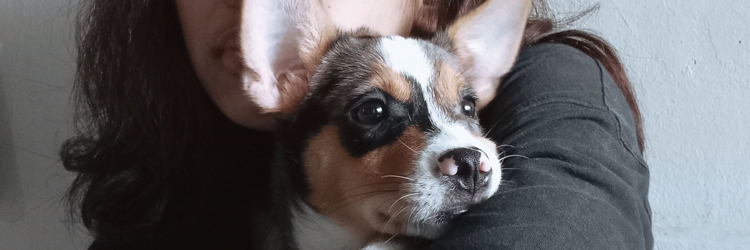 tinyroeni_'s profile banner image