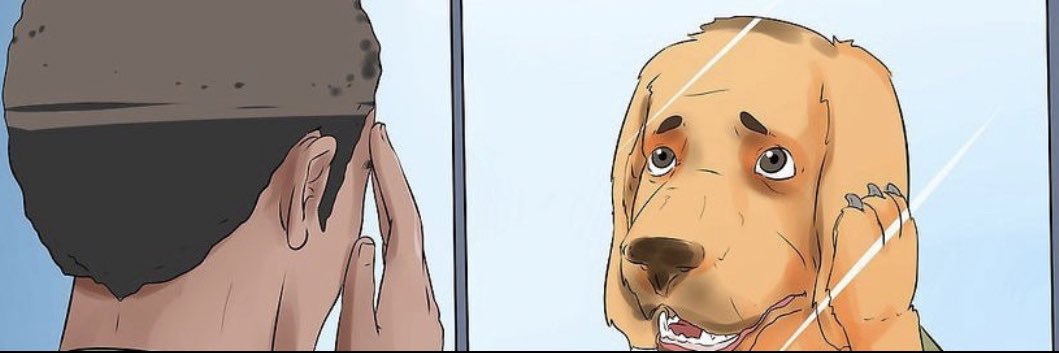 Rogue Socks 🐵 banner