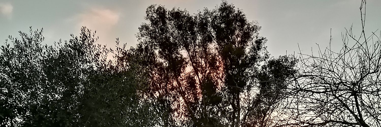 khaled sass banner