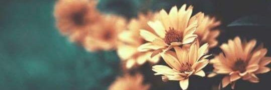 Ashlie938's profile banner image