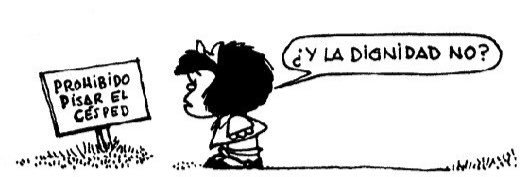 Benjamin Manuel Gilberto banner