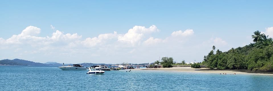 Flávia banner