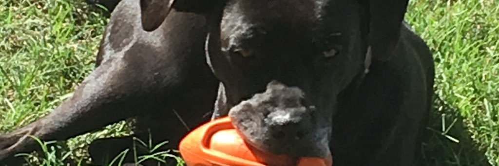 jrizzlerocks's profile banner image