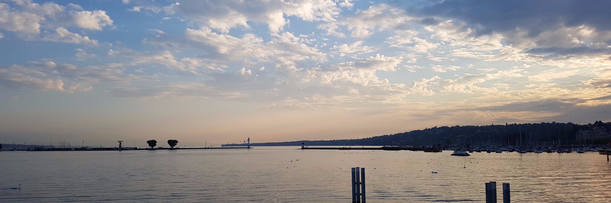 Romain Wanner banner