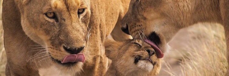 _bcolvin's profile banner image