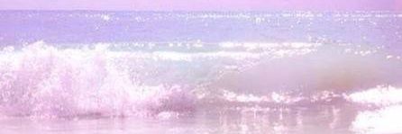 mealsun's profile banner image