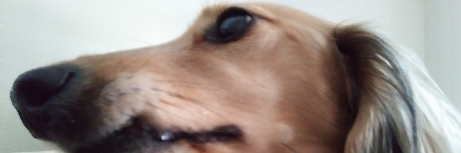 JustInTheLake's profile banner image