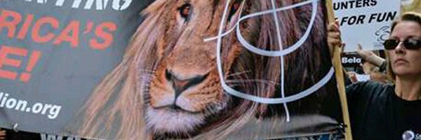 Janineboland Profile Banner