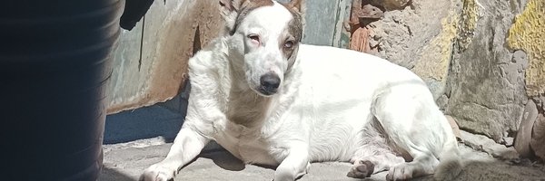 Hellengomez95 Profile Banner