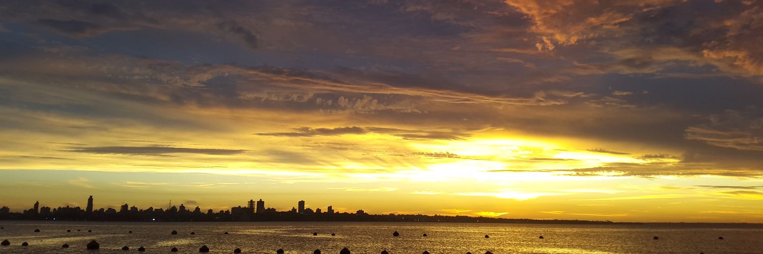 Elisa Mariel Aranda banner