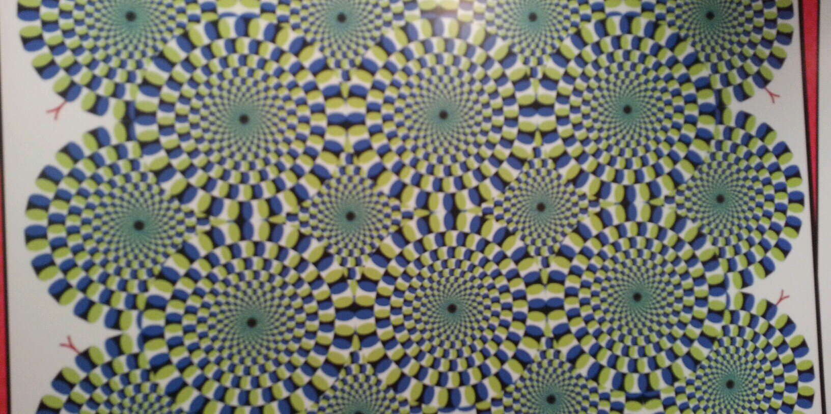 Landon Diveley banner