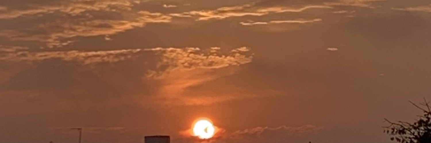 Emilyflowersok's profile banner image