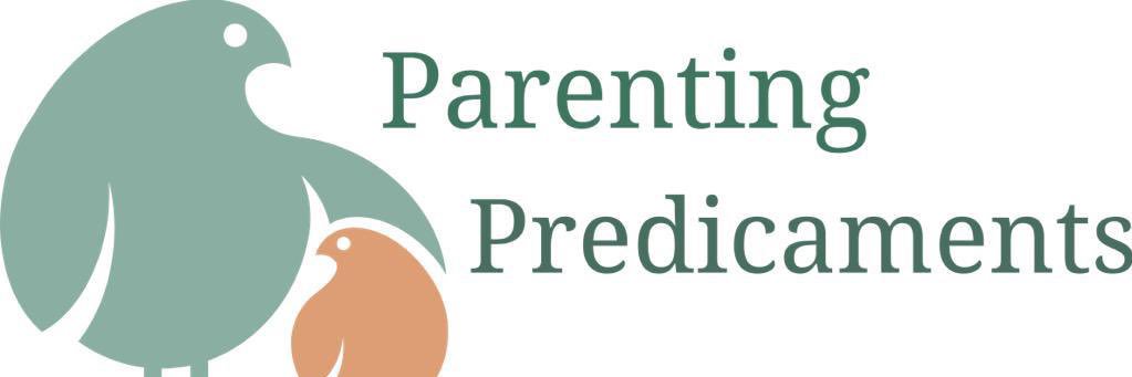 AH_Predicaments's profile banner image
