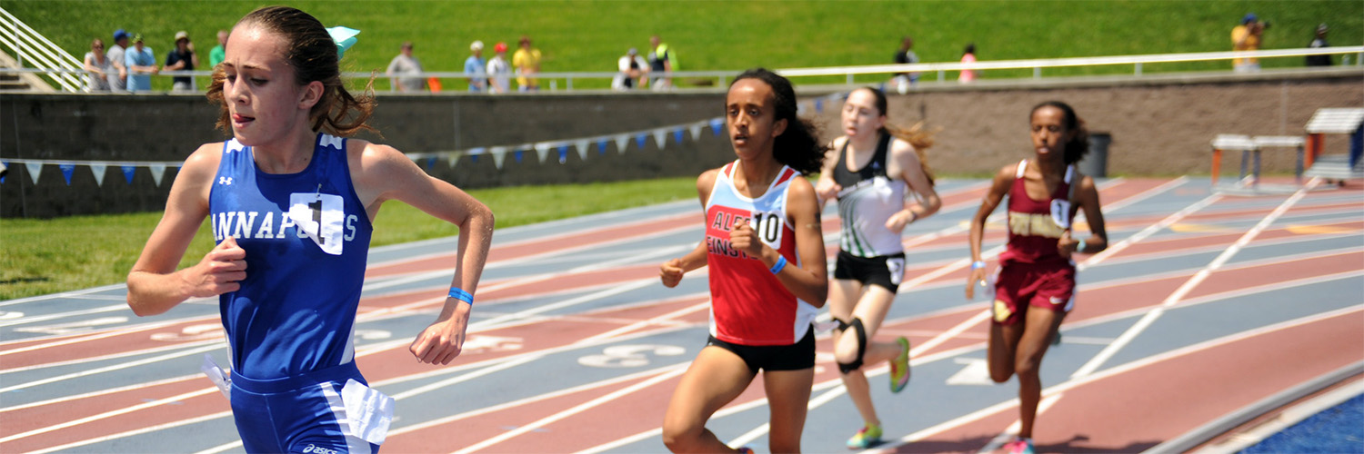 Sun Varsity Letters banner