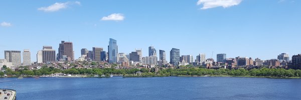 BrianneConnizzo Profile Banner