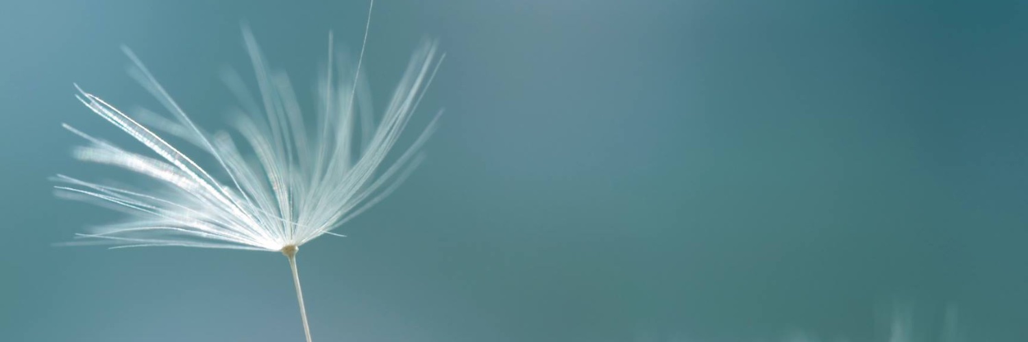 nutrylzone's profile banner image