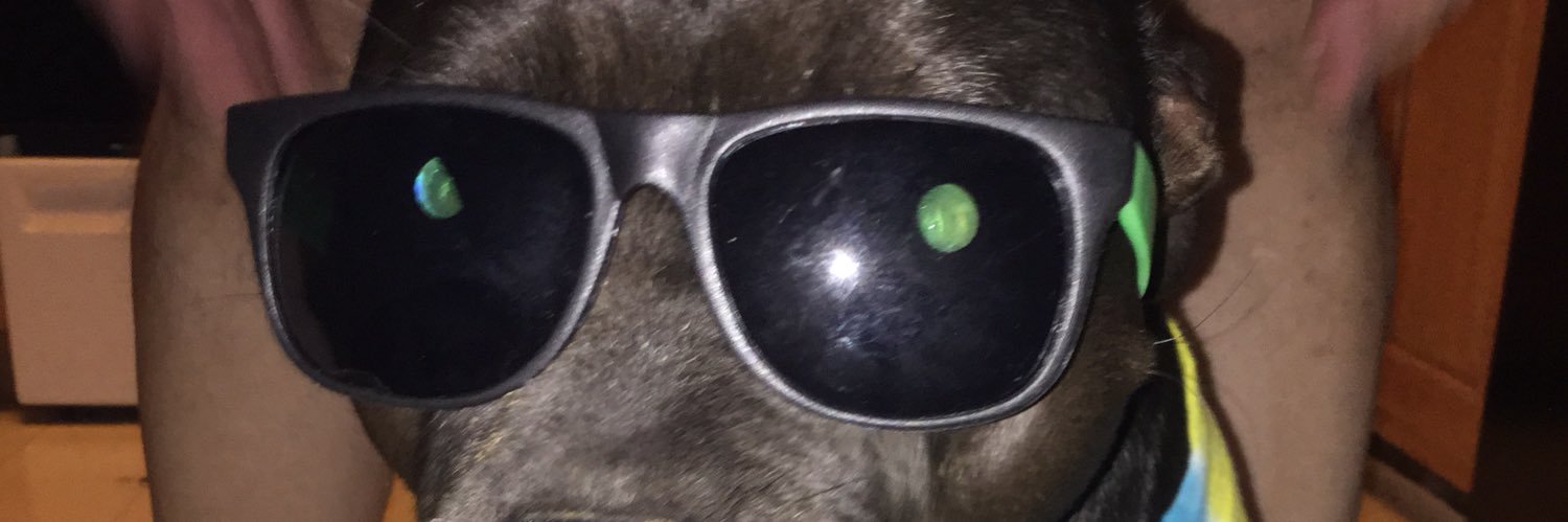 Stop Defending the Pedo in the White House banner