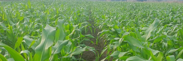 theDPatil Profile Banner