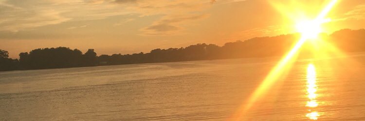 cunningham_dc's profile banner image