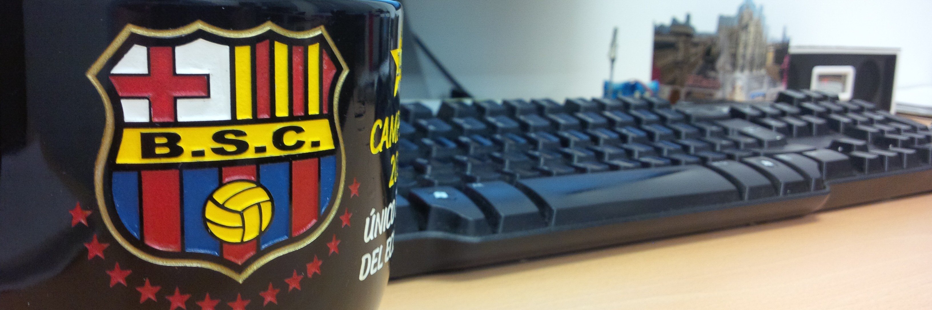 Christian Almeida banner