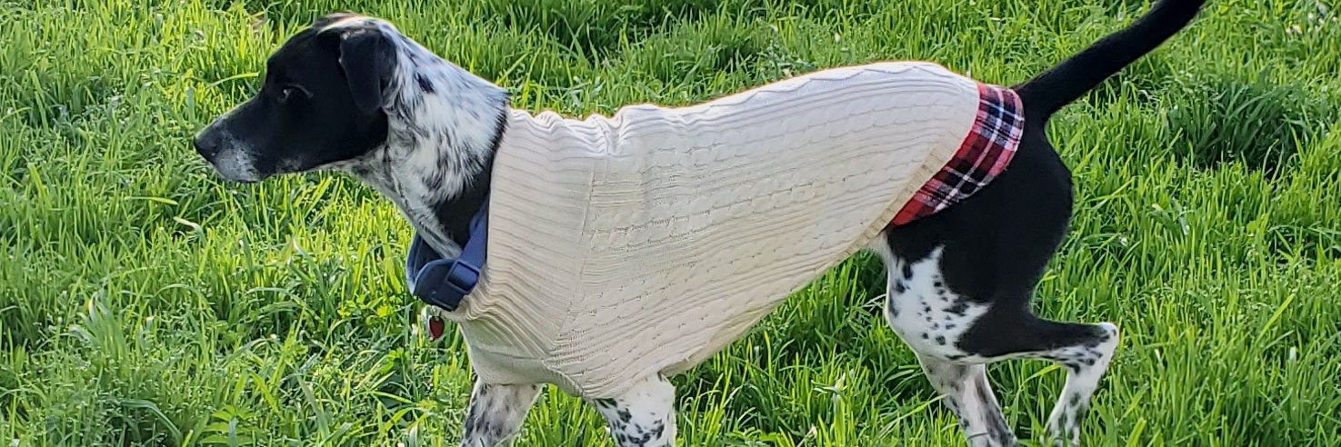 Alexander Babayan ✝️🇺🇲 banner