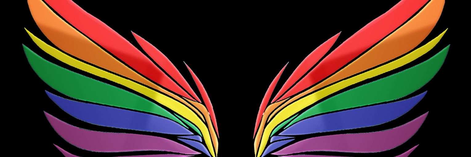 disenos_angel's profile banner image