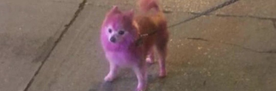 yesnice_'s profile banner image